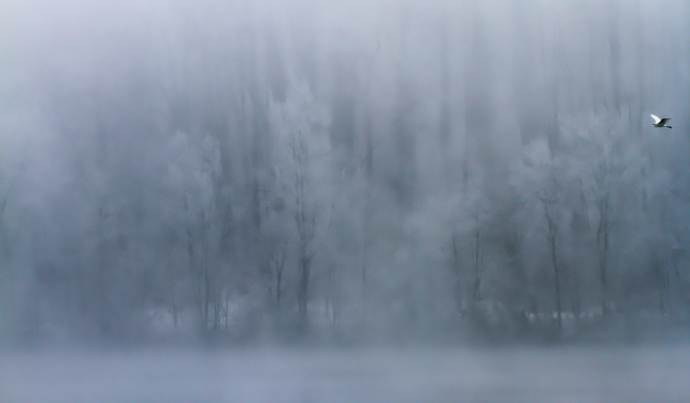 10. Platz Sieglinde Senser